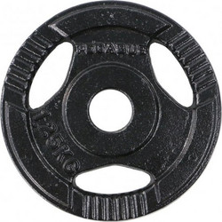 Pegasus Δίσκος Μεταλλικός 1.25kg Φ29mm