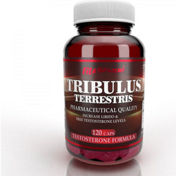 Fit & Shape Tribulus Terrestris 120 Κάψουλες