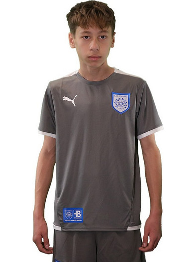 Puma TeamLiga Παιδικό T-Shirt Κοντομάνικο Γκρι 704925-13