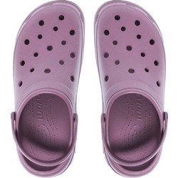 Parex Luofu 11929022 Λιλά
