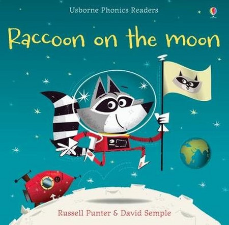 Raccoon on the Moon