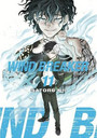 Wind Breaker