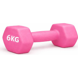 Energy GA0136KG Βαράκι Εξάγωνο Πλαστικοποιημένο 6kg