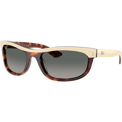 Ray-Ban RB2489 144371 Ανδρικά Γυαλιά Ηλίου Ορθογώνια Κοκάλινα Άσπρο Ταρταρούγα με Μαύρο Φακό