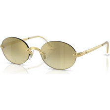 Ray-Ban RB3929 001/7I Γυναικεία Γυαλιά Ηλίου Οβάλ Μεταλλικά Χρυσά με Καφέ Φακό