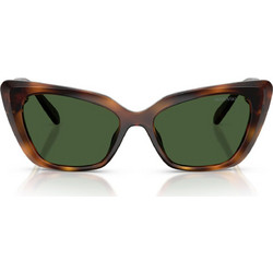 Swarovski SK6047 100271 Γυναικεία Γυαλιά Ηλίου Cat Eye Κοκάλινα Καφέ με Πράσινο Φακό