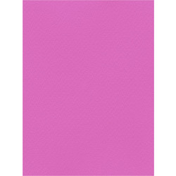 Favini Χαρτόνι Κανσόν Μωβ 70x100cm 831.70100.27T