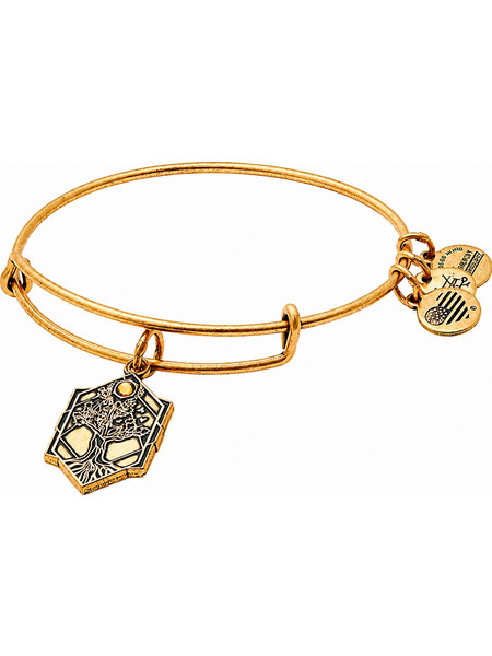 Alex and Ani Γυναικείο Βραχιόλι Βέργα Xρυσό A17EBTOLRG