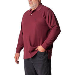 Nautica Ανδρική Μπλούζα Polo Μακρυμάνικη Μπορντό 3NCN1CR0127