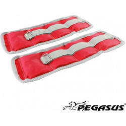 Pegasus(R) Βάρη Άκρων (1.0kg - Zεύγος) Β-2112-10
