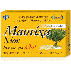 PanSoap Mastic Σαπούνι 125gr