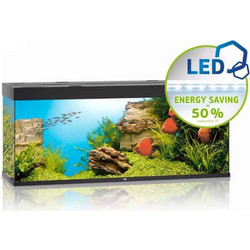 Juwel Aquarium Rio 450 Ενυδρείο Ψαριών με Φωτισμό, Θερμαντήρα, Κυκλοφορητή & Φίλτρο 450lt Μαύρο
