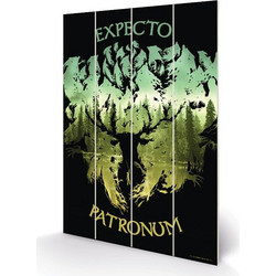 HARRY POTTER - Wood Print 20x29.5 - Expecto Patronum
