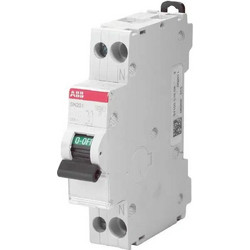 ABB Αυτόματη Ασφάλεια 25A Διπολική Στενή SN201 L-C25