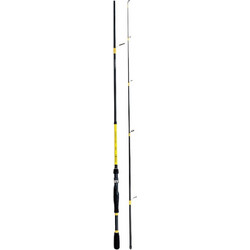 Robinson Powerflex Spin Καλάμι Ψαρέματος για Spinning Carbon Δίσπαστο 2.4m 10-30gr