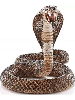 Schleich Κόμπρα 14733