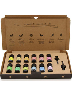 Ancient Wisdom Aromatherapy Set Pure Starter Pack Αιθέρια Έλαια 12x5ml