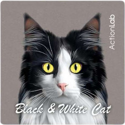 Action Lab Μαγνητάκι Magnet Black & White Cat