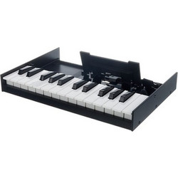 Roland Boutique K-25M