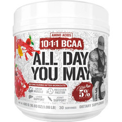 Rich Piana All Day You May 10:1:1 BCAA Fruit Punch 435gr