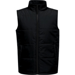 Regatta Access Insulated Αμάνικο Αθλητικό Ανδρικό Μπουφάν Μαύρο TRA842