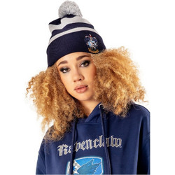 Harry Potter Beanie Ravenclaw