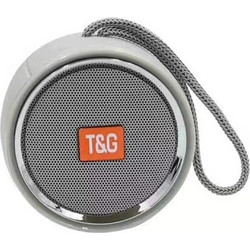 T&G TG-536 Ηχείο Bluetooth 3W με Ραδιόφωνο Ασημί
