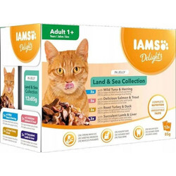 IAMS Adult with Meat 12x85gr