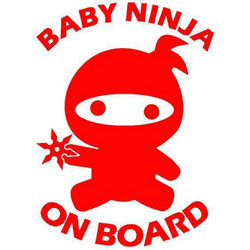 Ninja on Board 0119
