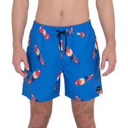 Hurley Windansea Volley 17' Ανδρικό Μαγιό Σορτς με Σχέδια Μπλε CZ5957-497