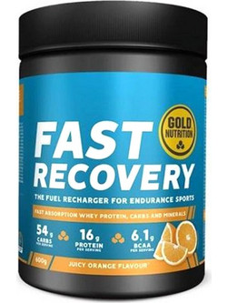 Gold Nutrition Fast Recovery Juicy Orange Πρωτεΐνη Ορού Γάλακτος Όγκου 600gr