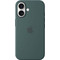 Apple Silicone MagSafe Back Cover Lake Green (iPhone 16)