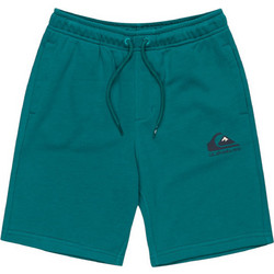 Quiksilver Αθλητική Παιδική Βερμούδα Πετρόλ EQBFB03174-BSJ0