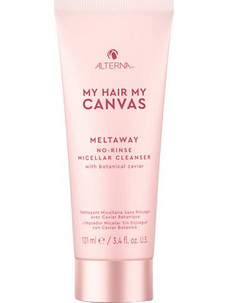 Alterna My Hair My Canvas Σαμπουάν για Επανόρθωση 101ml
