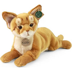 Rappa Γάτα Abyssinian 30cm