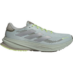 Adidas Supernova Rise GTX Ανδρικά Αθλητικά Παπούτσια για Τρέξιμο Ασημί JQ5485