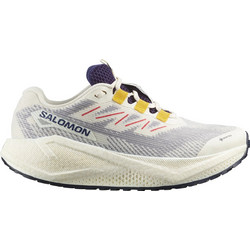 Salomon Aero Blaze 3 Γυναικεία Αθλητικά Παπούτσια για Τρέξιμο Μπεζ L47974100