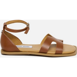 Steve Madden Δερμάτινα Γυναικεία Σανδάλια Ταμπά SH110053920