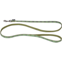Max & Molly Tartan Λουρί Σκύλου 1.2m x 10mm Πράσινο Mint