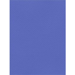 Favini Χαρτόνι Κανσόν Μπλε 70x100cm 831.70100.21T