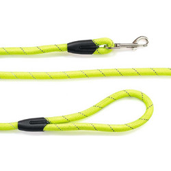 Glee Round Λουρί Σκύλου 1.22m x 15mm Lime