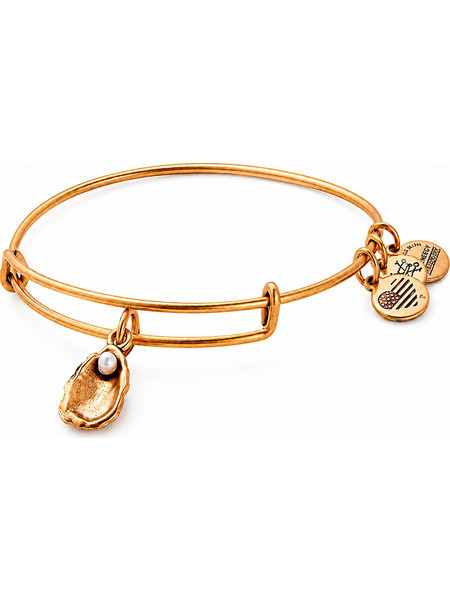 Alex and Ani Γυναικείο Βραχιόλι Βέργα Xρυσό A17EBOYSRG