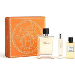 Hermes Terre d'Hermes Eau de Toilette 100ml + 15ml + After Shave 40ml