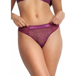 Luna Mystique Γυναικείο Sexy String με Δαντέλα Μπορντό 25800