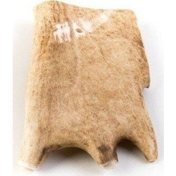 Chew Chew Κέρατο Ελαφιού Fallow Midi 80-100gr 1τμχ