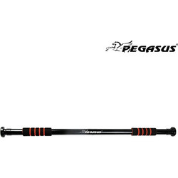 Pegasus B-2203B