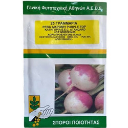 Ρέβα Δίχρωμη Purple Top 25gr
