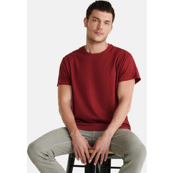 Roly Beagle Ανδρικό Αθλητικό T-Shirt Μπορντό CA6554 Bordeaux