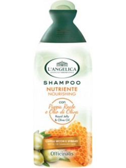 L'Angelica Officinalis Nourishing Σαμπουάν για Ταλαιπωρημένα Μαλλιά 250ml