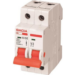 Ραγοδιακοπτης 2x40a